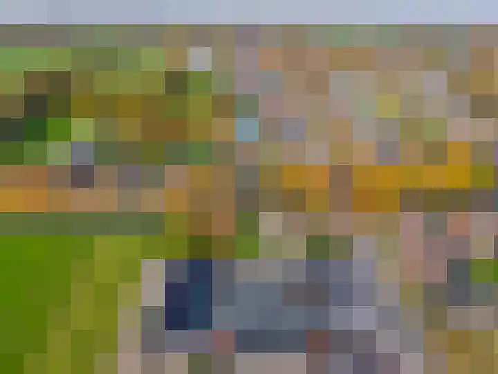 Van Akenweg 71 De Wilp thumbnail 54