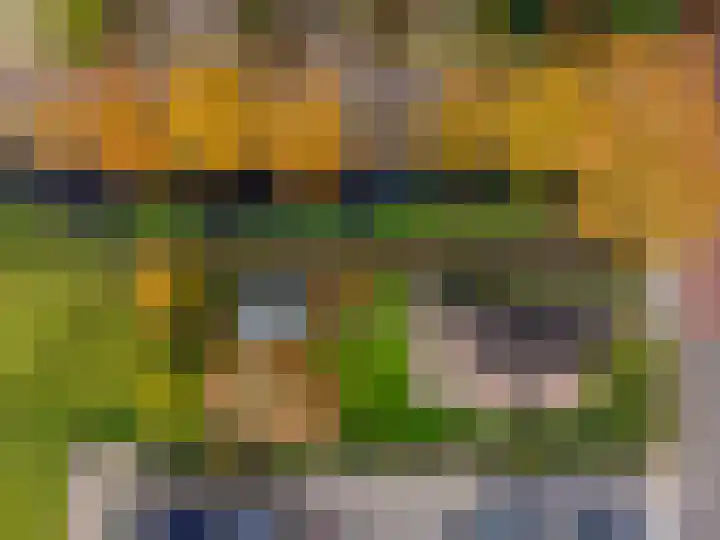 Van Akenweg 71 De Wilp thumbnail 55