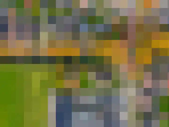 Van Akenweg 71 De Wilp thumbnail 56