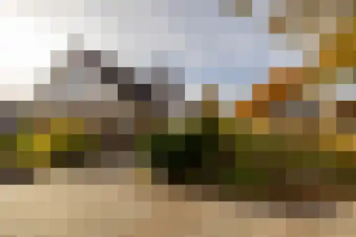 Van Akenweg 71 De Wilp thumbnail 6