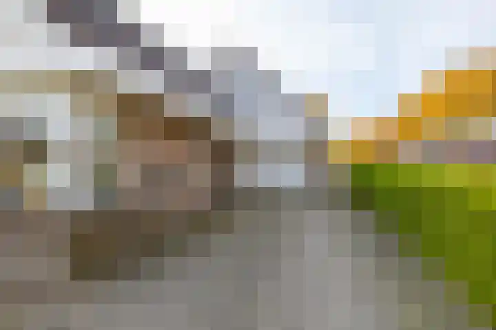 Van Akenweg 71 De Wilp thumbnail 7