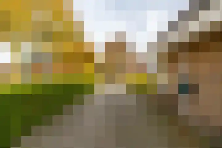Van Akenweg 71 De Wilp thumbnail 8