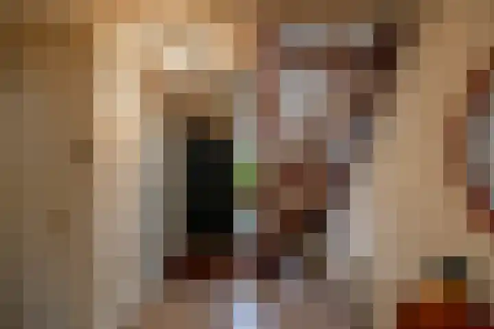 Van Akenweg 71 De Wilp thumbnail 9