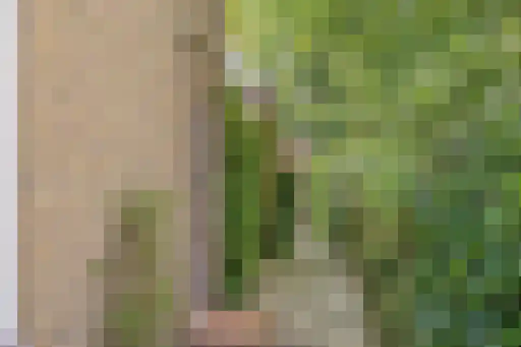 Van Akenwei 13 Siegerswoude thumbnail 14