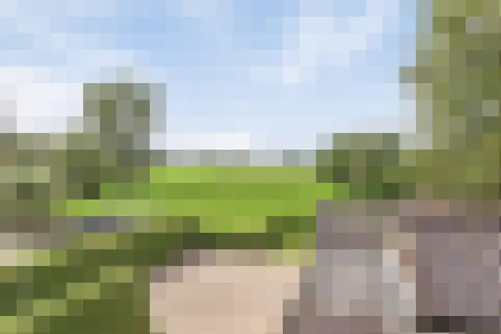 Van Akenwei 13 Siegerswoude thumbnail 29