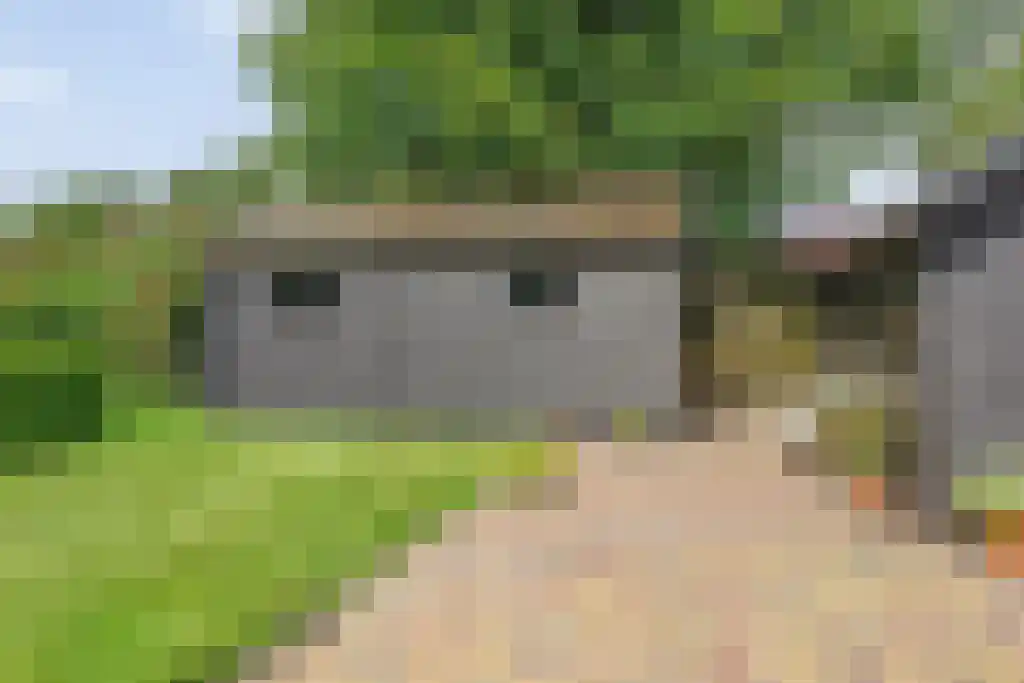Van Akenwei 13 Siegerswoude thumbnail 32