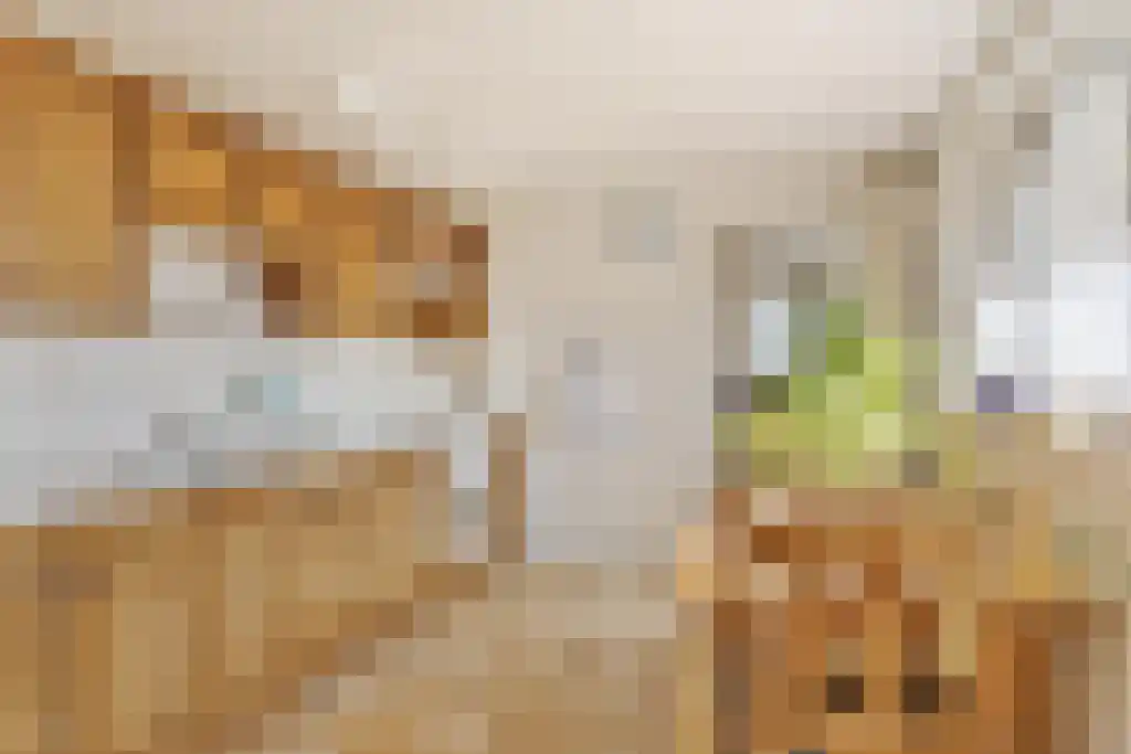 Van Akenwei 13 Siegerswoude thumbnail 4