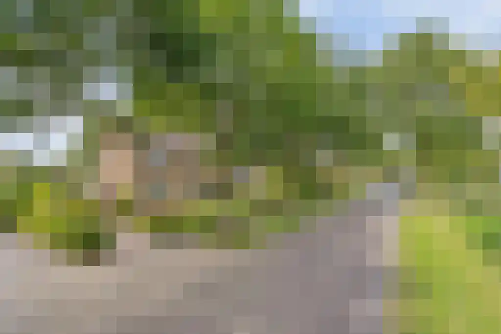 Van Akenwei 13 Siegerswoude thumbnail 40