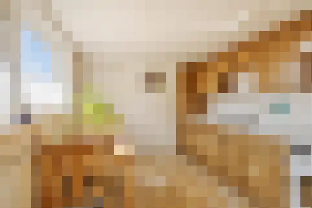 Van Akenwei 13 Siegerswoude thumbnail 5