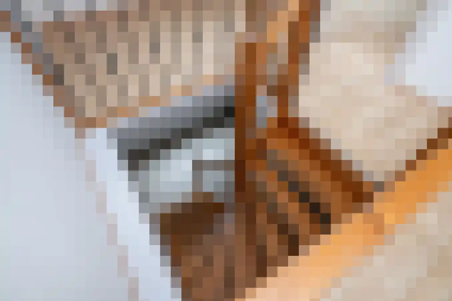 Van Akenwei 20 Siegerswoude thumbnail 26