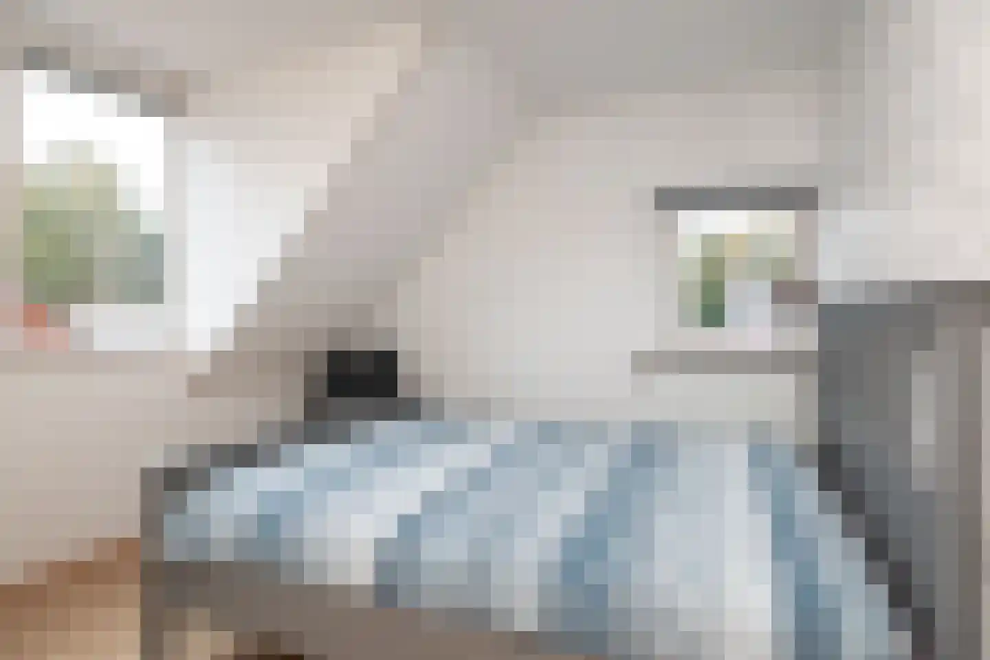 Van Akenwei 20 Siegerswoude thumbnail 36