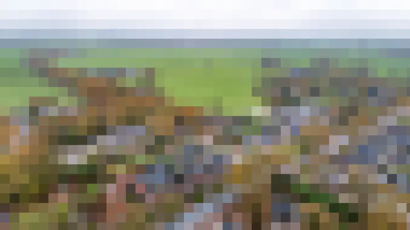 Van Akenwei 20 Siegerswoude thumbnail 44