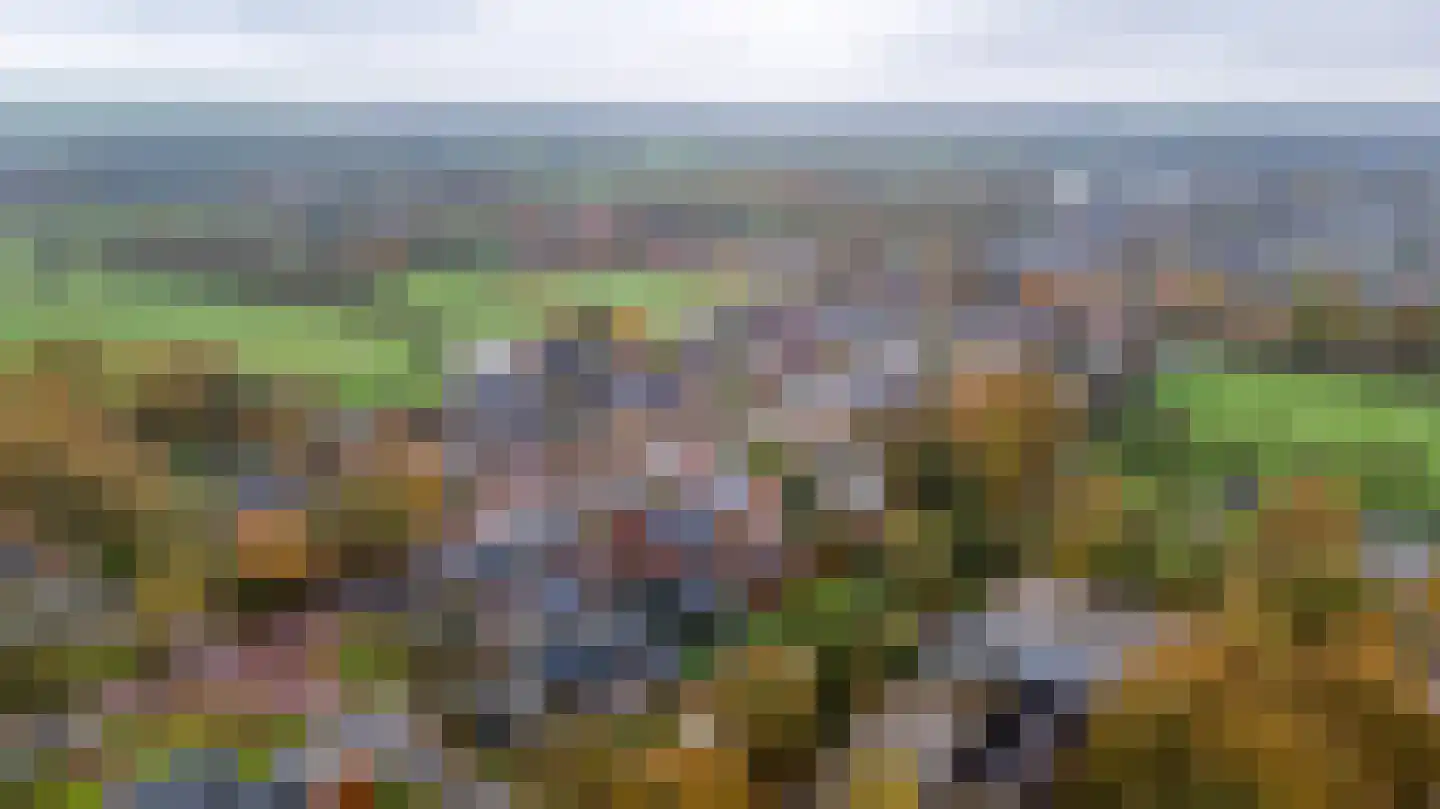Van Akenwei 20 Siegerswoude thumbnail 45