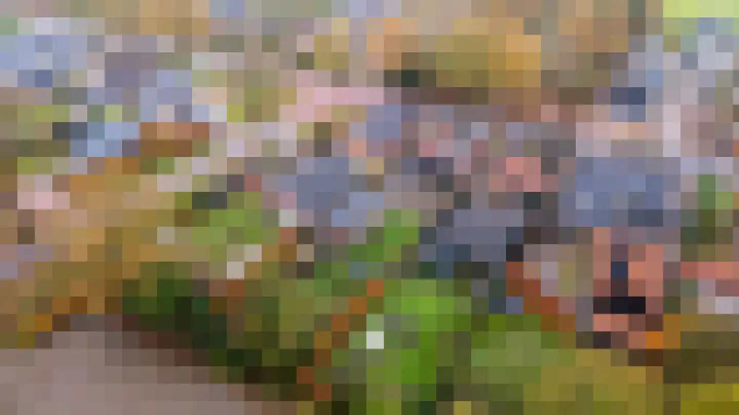 Van Akenwei 20 Siegerswoude thumbnail 47