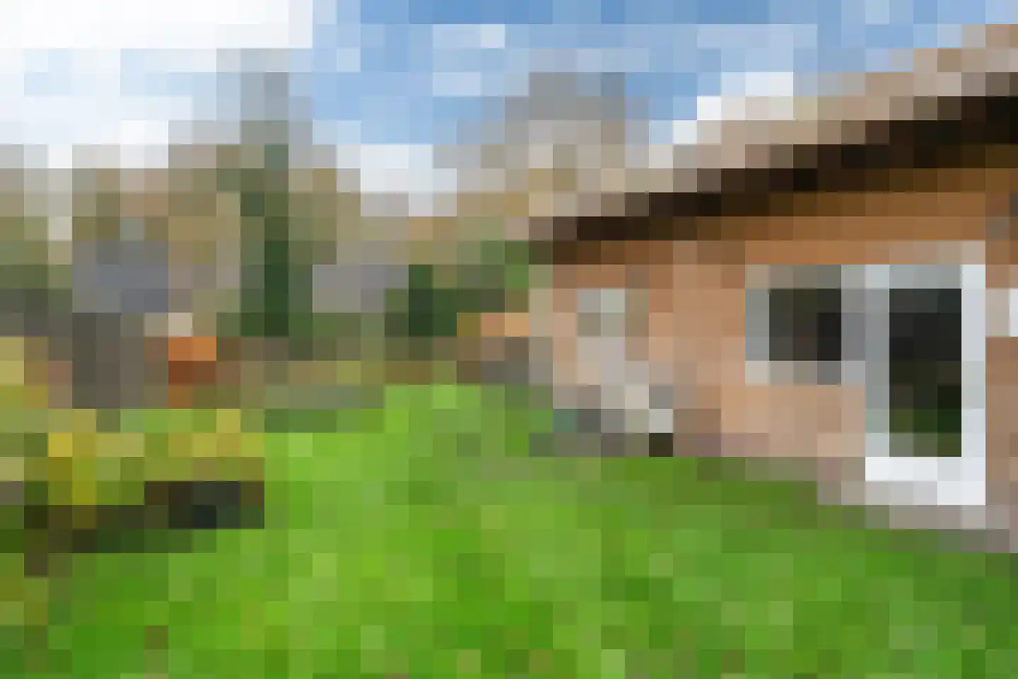Van Akenwei 20 Siegerswoude thumbnail 6