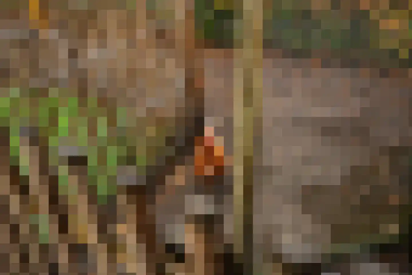 Van Akenwei 20 Siegerswoude thumbnail 8