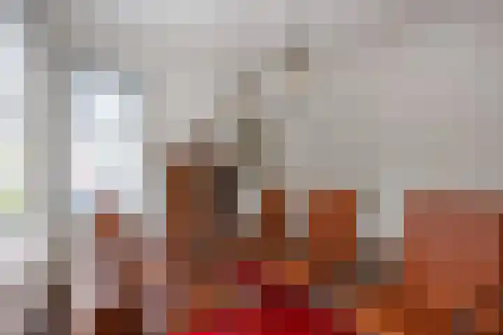 Van Akenwei 25 Siegerswoude thumbnail 22