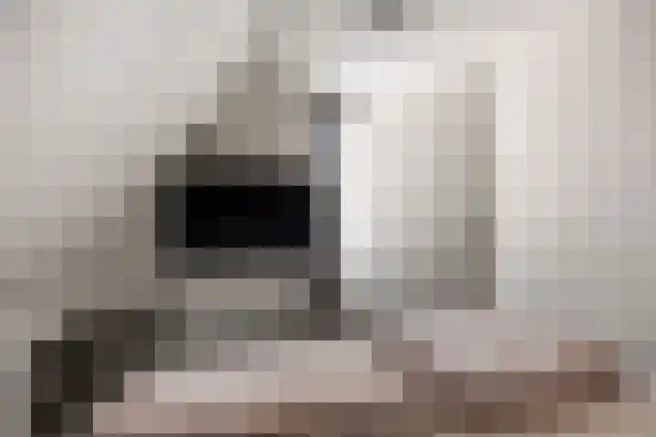 Van Akenwei 25 Siegerswoude thumbnail 38