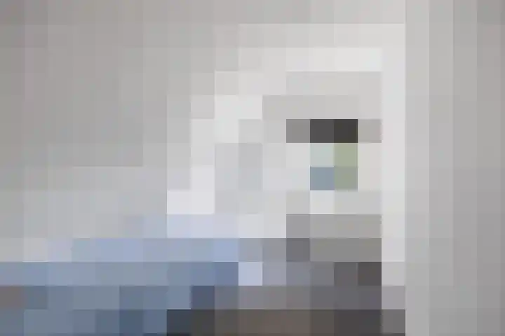 Van Akenwei 25 Siegerswoude thumbnail 42