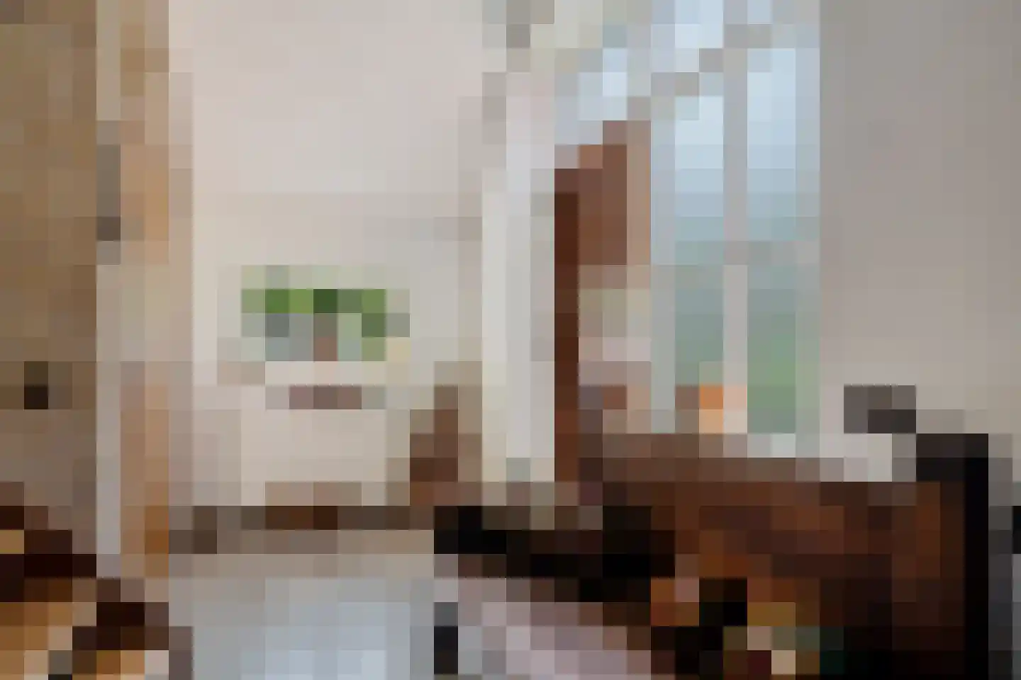 Van Akenwei 26 Siegerswoude thumbnail 17
