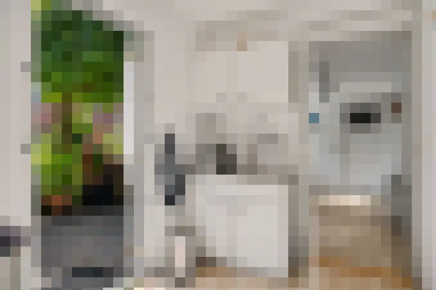 Van Akenwei 26 Siegerswoude thumbnail 31