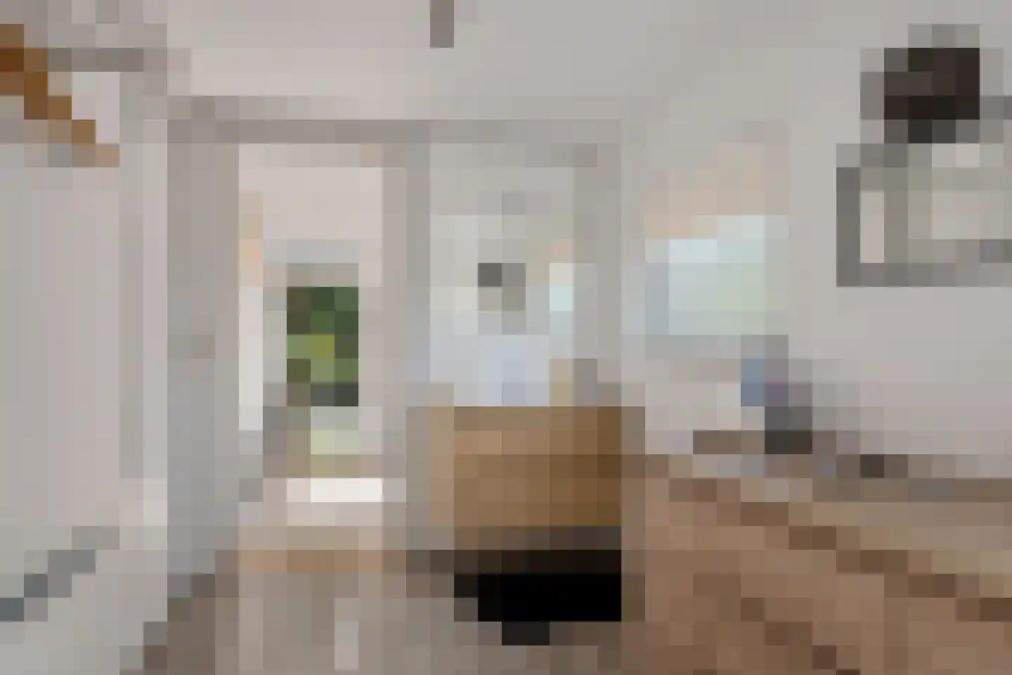 Van Akenwei 26 Siegerswoude thumbnail 32