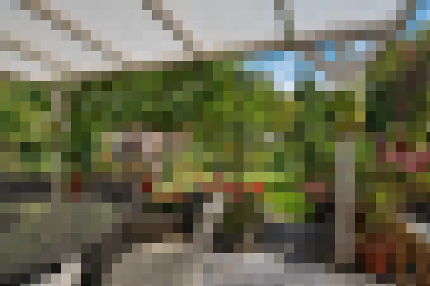 Van Akenwei 26 Siegerswoude thumbnail 38