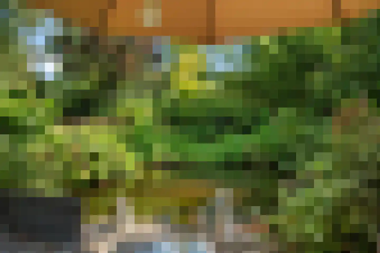 Van Akenwei 26 Siegerswoude thumbnail 39