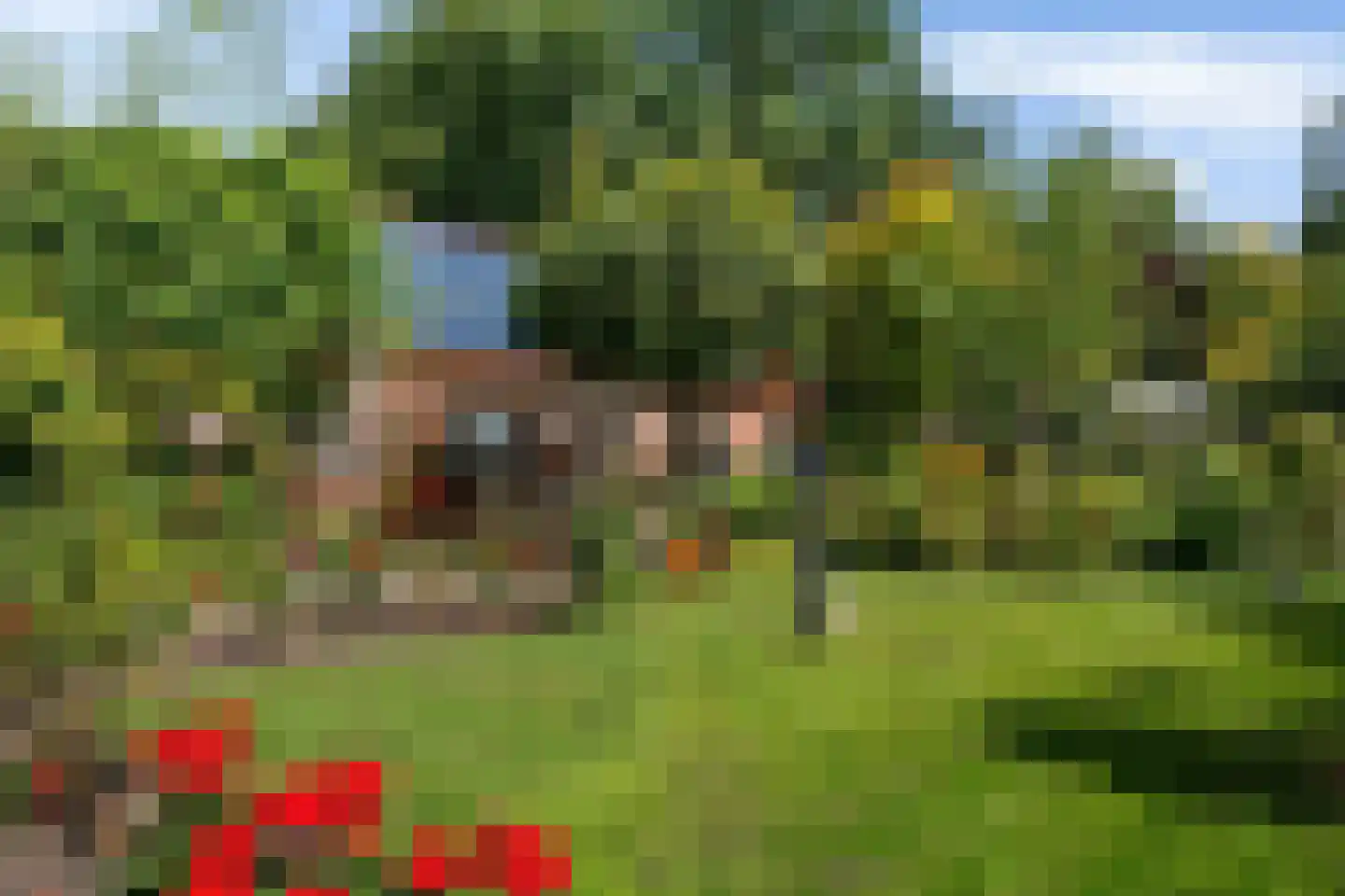 Van Akenwei 26 Siegerswoude thumbnail 41
