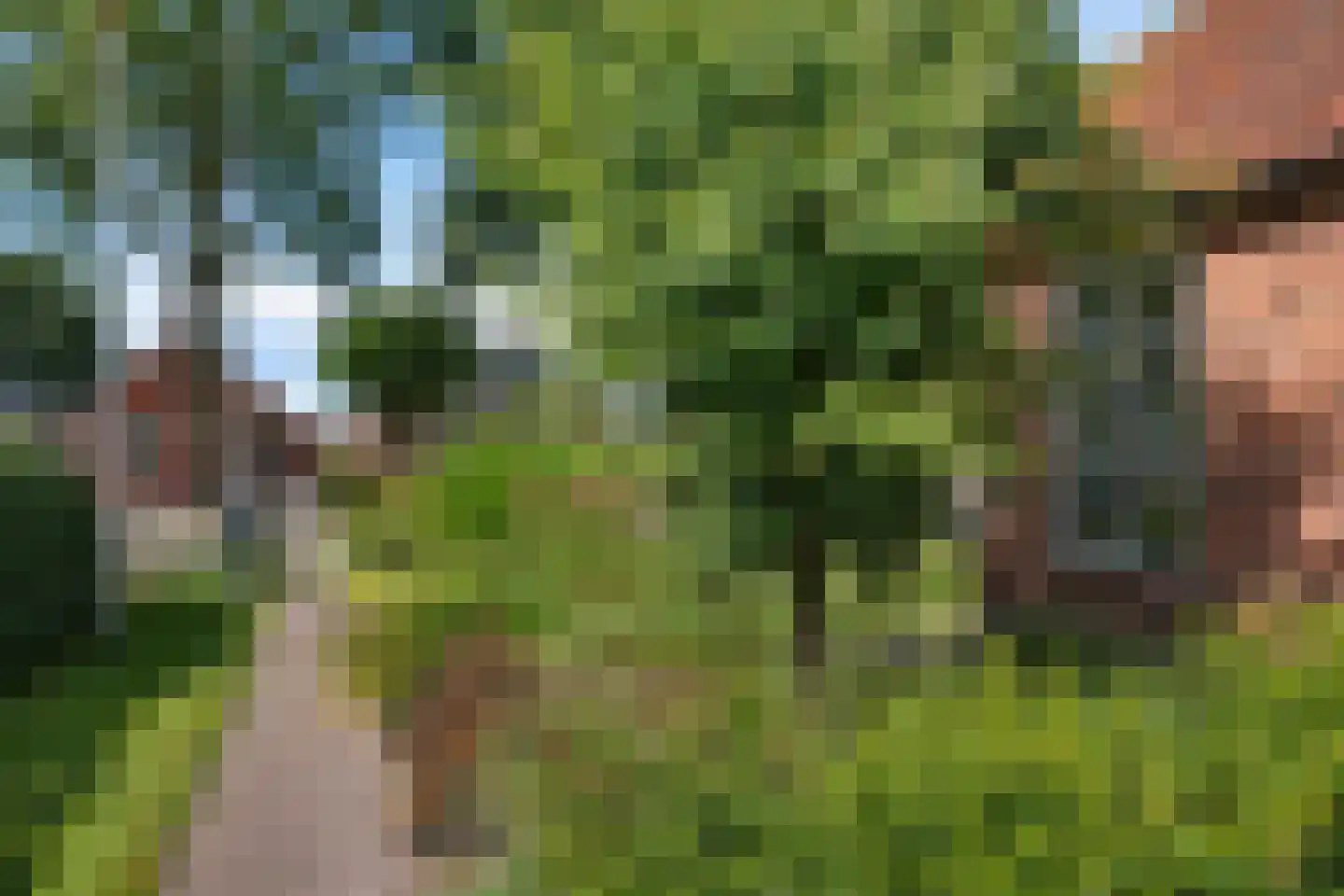 Van Akenwei 26 Siegerswoude thumbnail 45