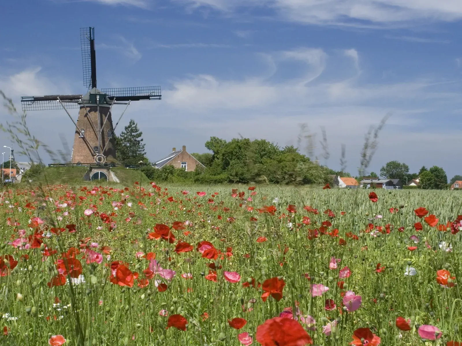 Team foto van Van Akker Makelaars