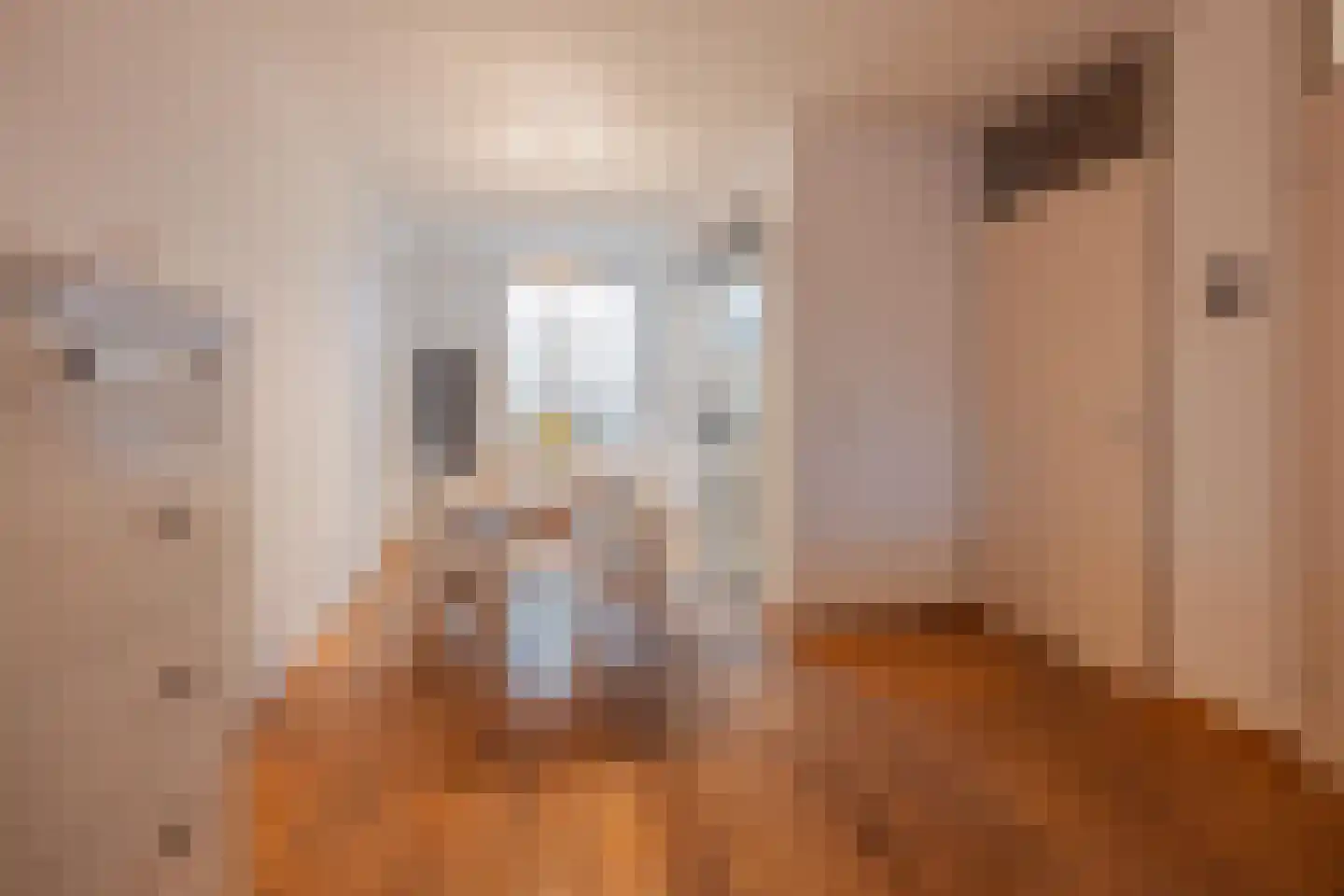 van Aldenbruggenstraat 1 Meerlo thumbnail 10
