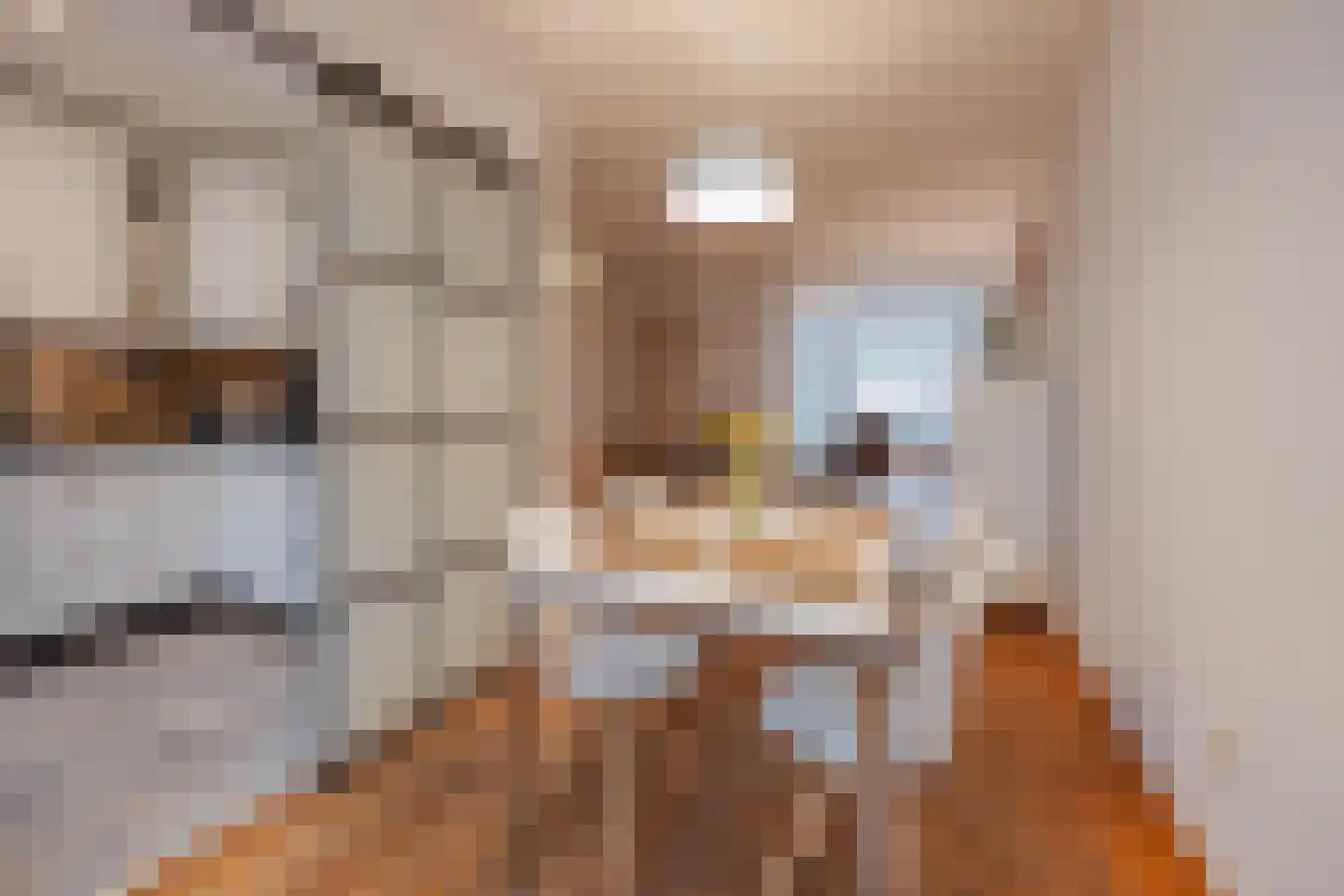 van Aldenbruggenstraat 1 Meerlo thumbnail 11