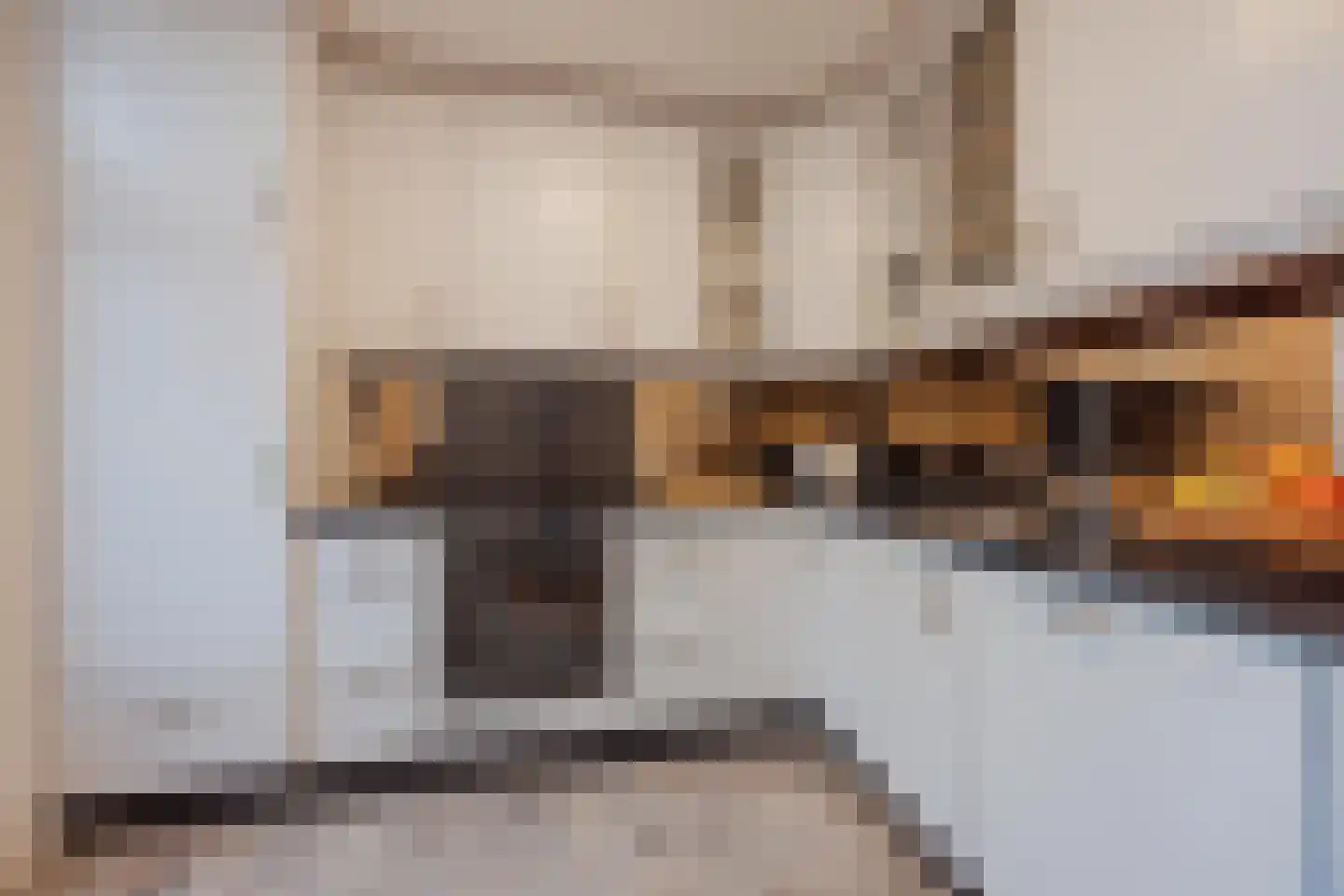 van Aldenbruggenstraat 1 Meerlo thumbnail 13