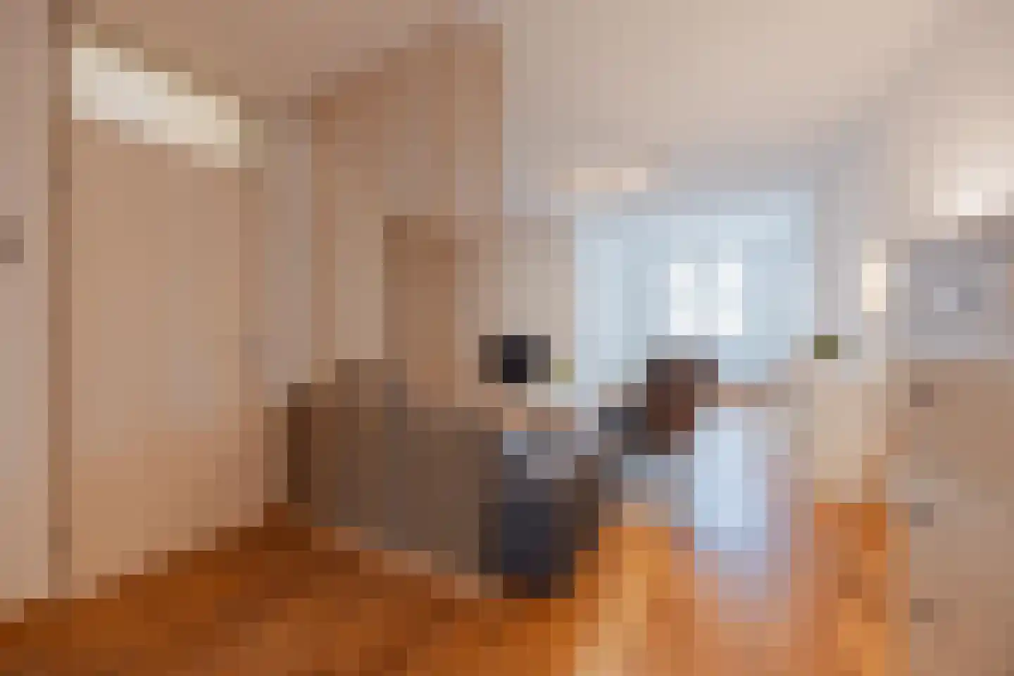 van Aldenbruggenstraat 1 Meerlo thumbnail 15