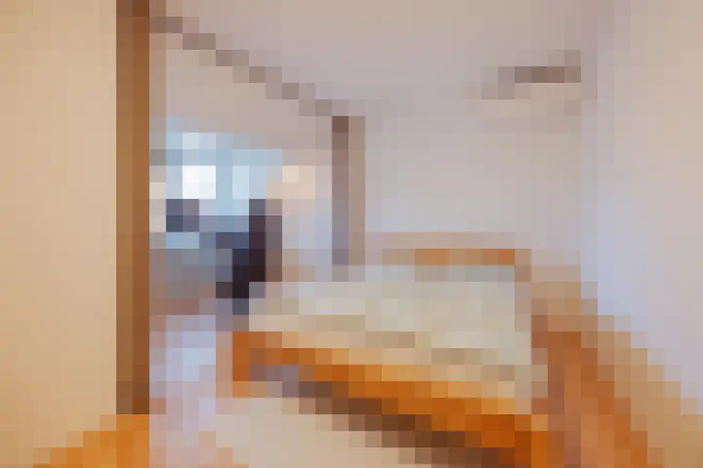 van Aldenbruggenstraat 1 Meerlo thumbnail 23