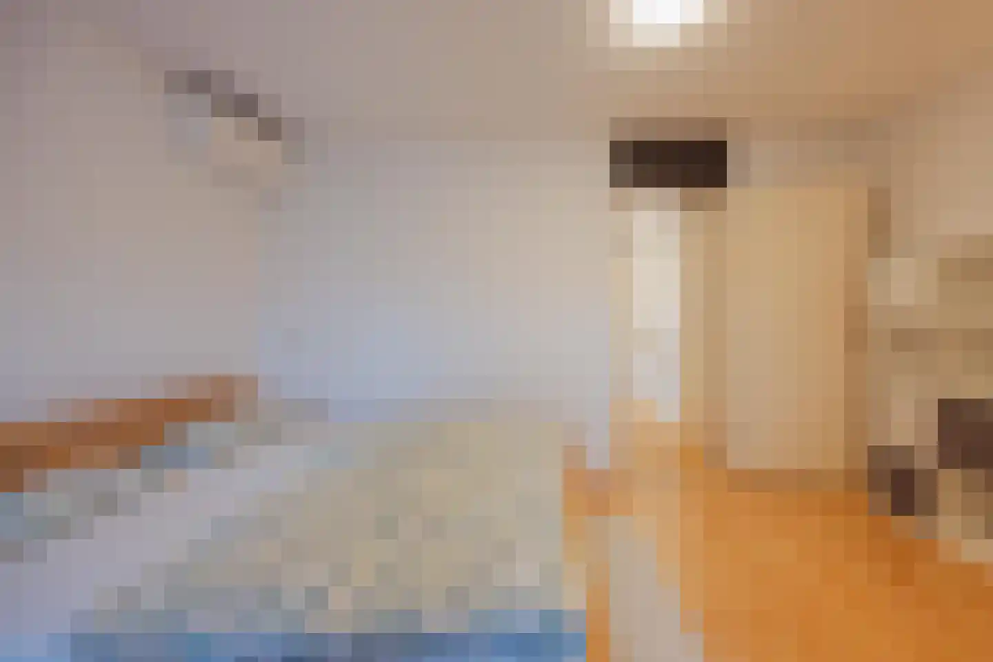 van Aldenbruggenstraat 1 Meerlo thumbnail 24