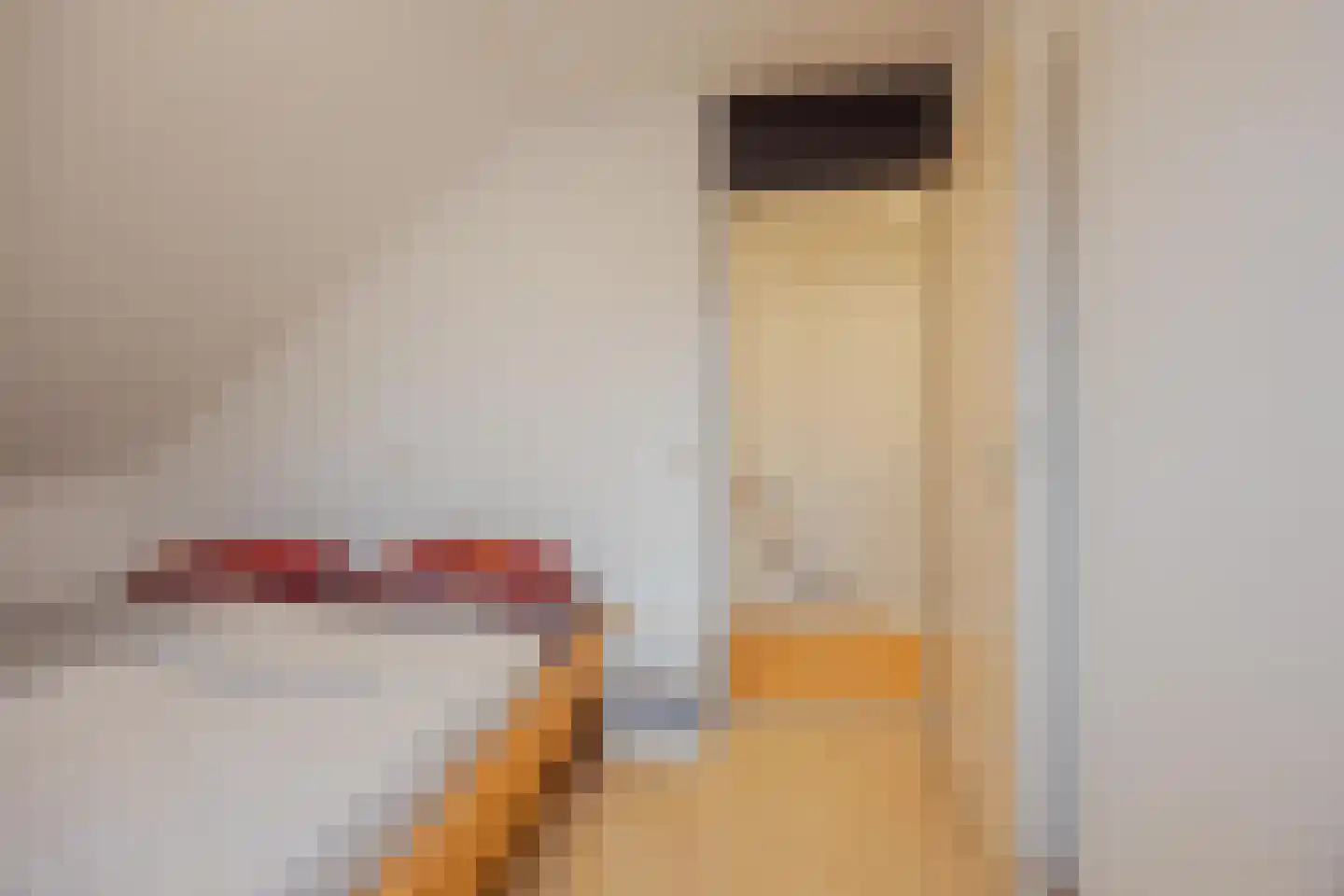 van Aldenbruggenstraat 1 Meerlo thumbnail 26