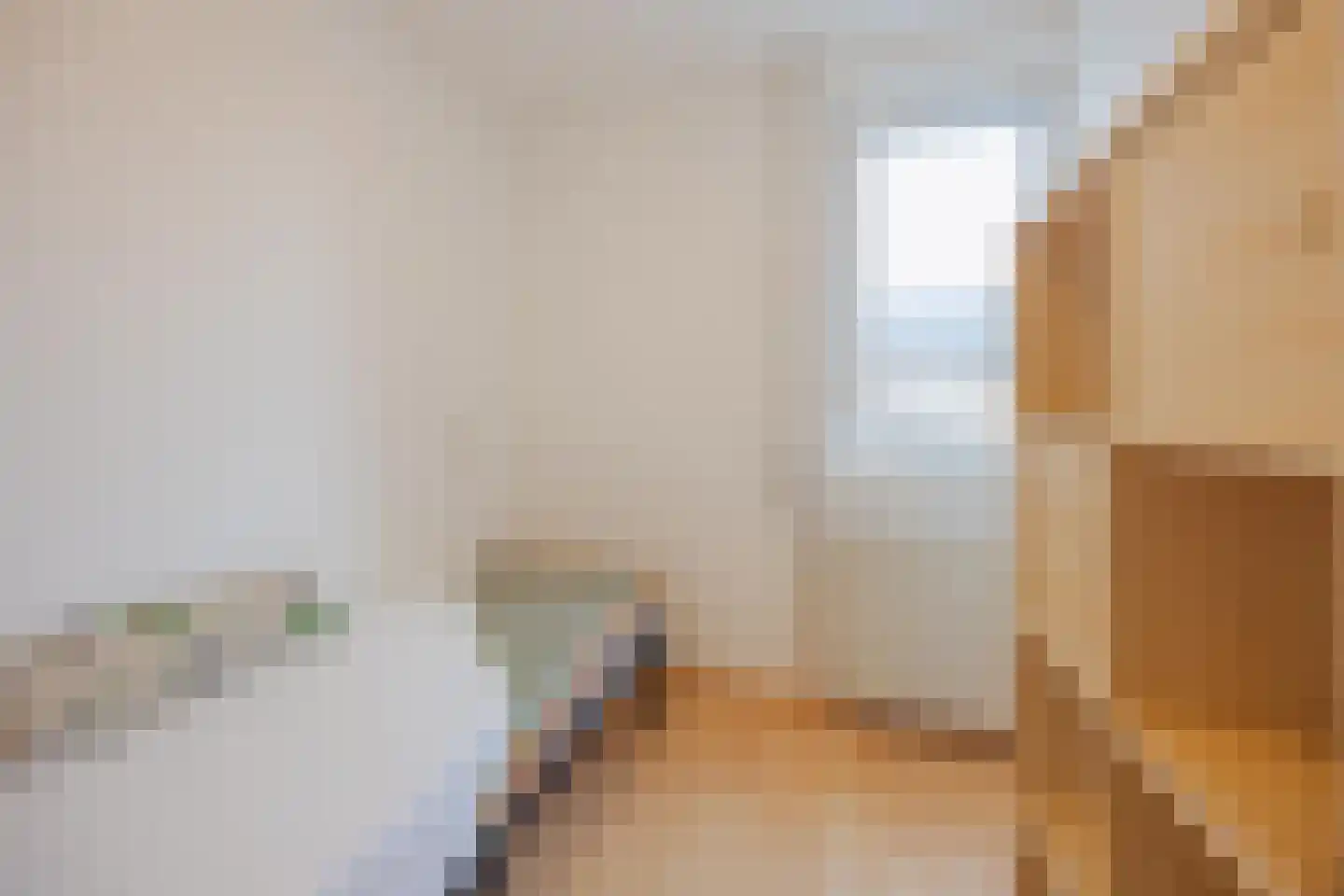 van Aldenbruggenstraat 1 Meerlo thumbnail 27