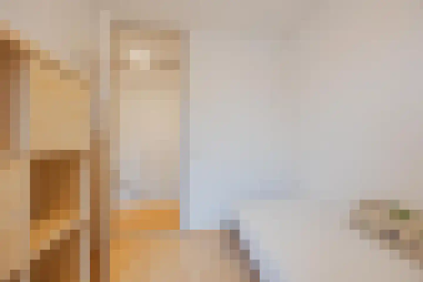 van Aldenbruggenstraat 1 Meerlo thumbnail 28