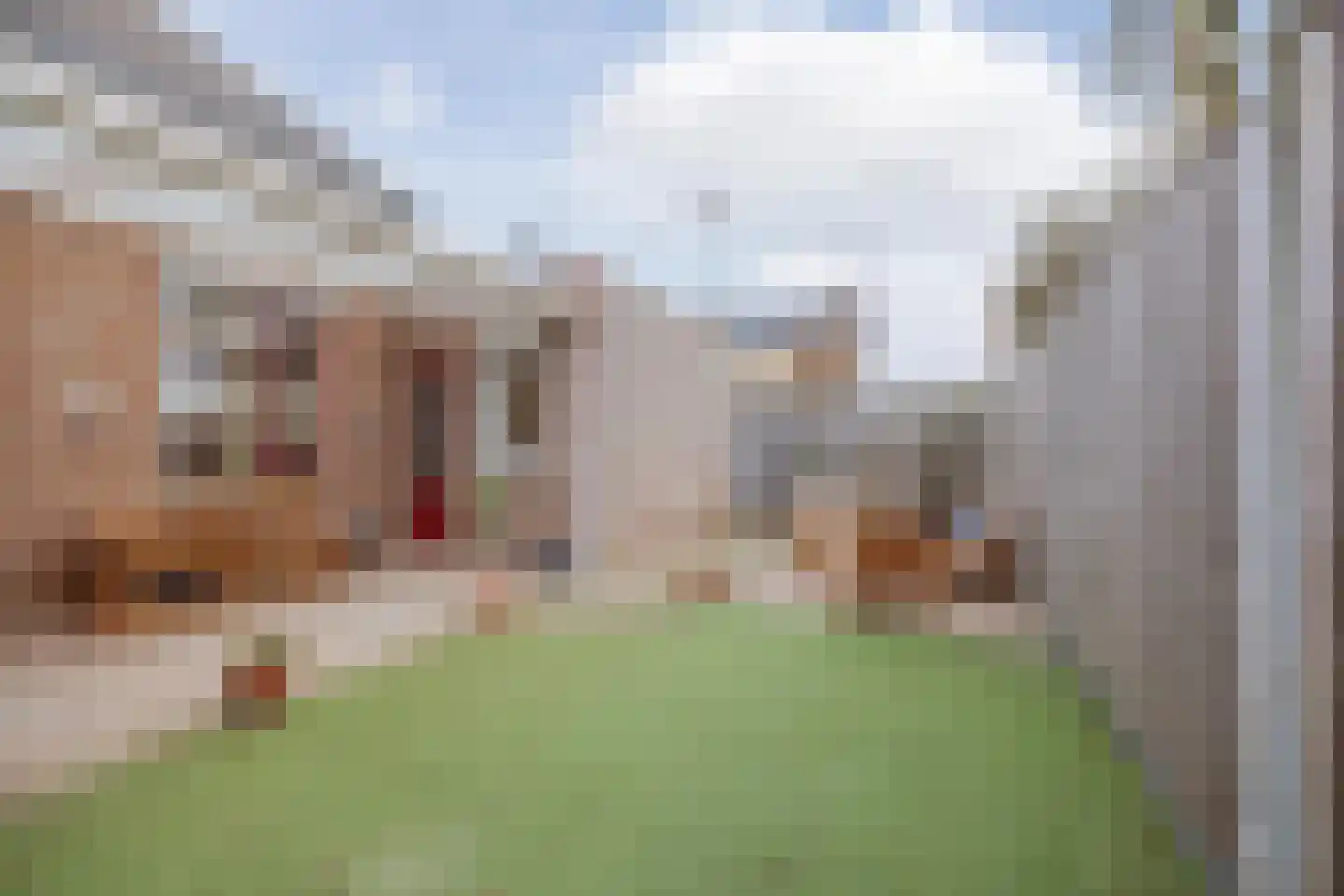 van Aldenbruggenstraat 1 Meerlo thumbnail 32