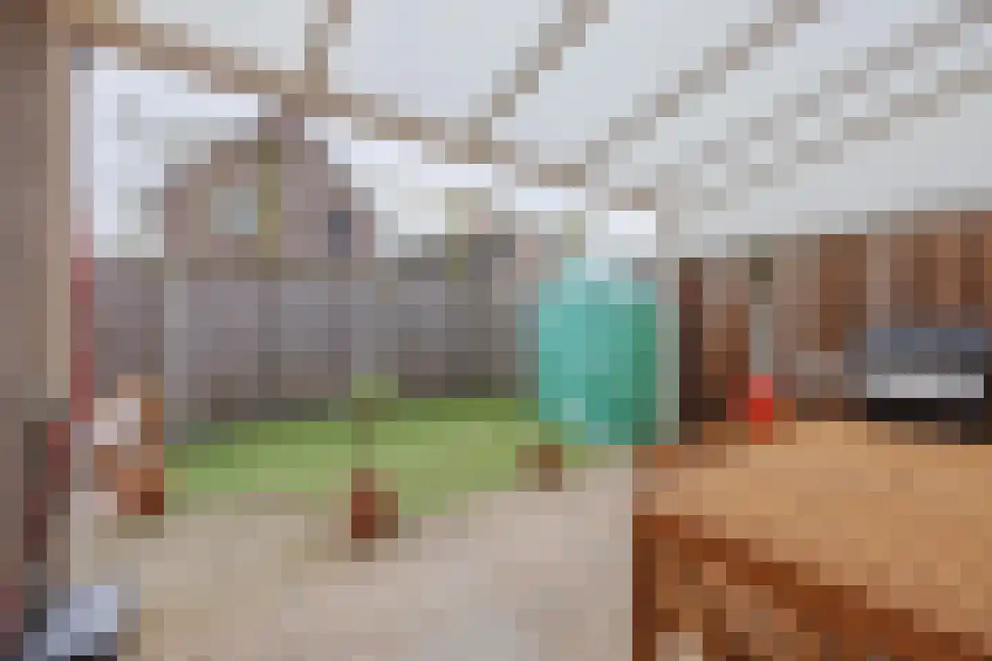 van Aldenbruggenstraat 1 Meerlo thumbnail 33