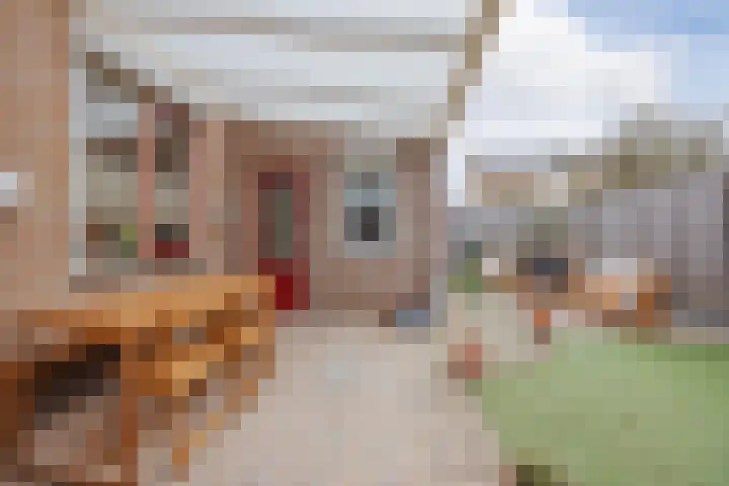 van Aldenbruggenstraat 1 Meerlo thumbnail 34