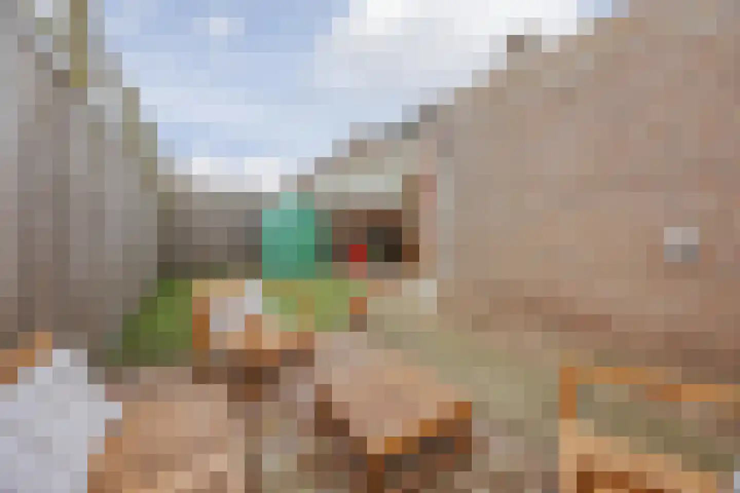 van Aldenbruggenstraat 1 Meerlo thumbnail 35