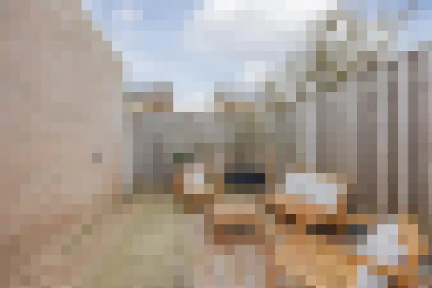 van Aldenbruggenstraat 1 Meerlo thumbnail 36