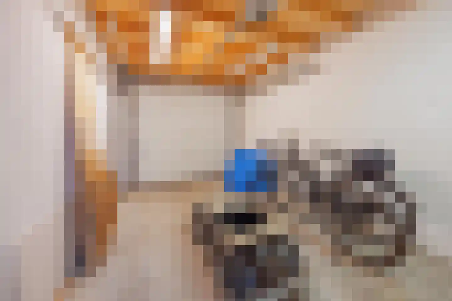 van Aldenbruggenstraat 1 Meerlo thumbnail 37