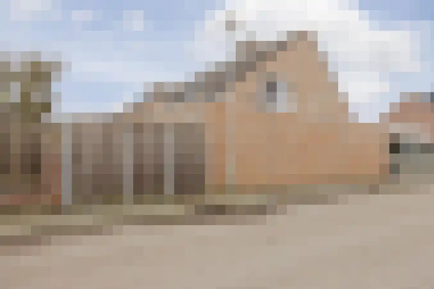 van Aldenbruggenstraat 1 Meerlo thumbnail 40