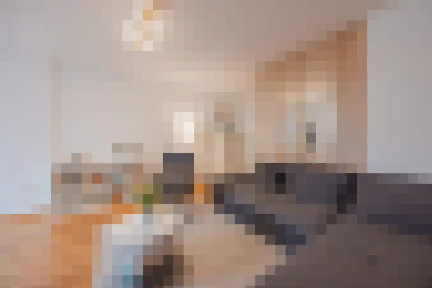 van Aldenbruggenstraat 1 Meerlo thumbnail 9