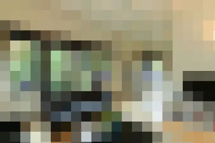 van Aldenburglaan 2 Doorwerth thumbnail 12