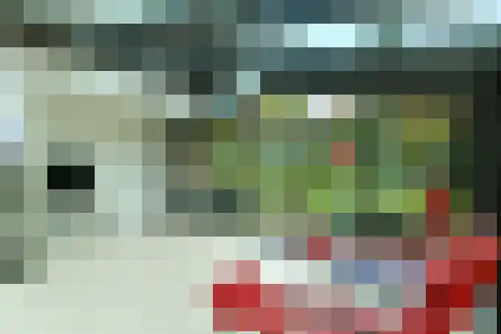 van Aldenburglaan 2 Doorwerth thumbnail 25